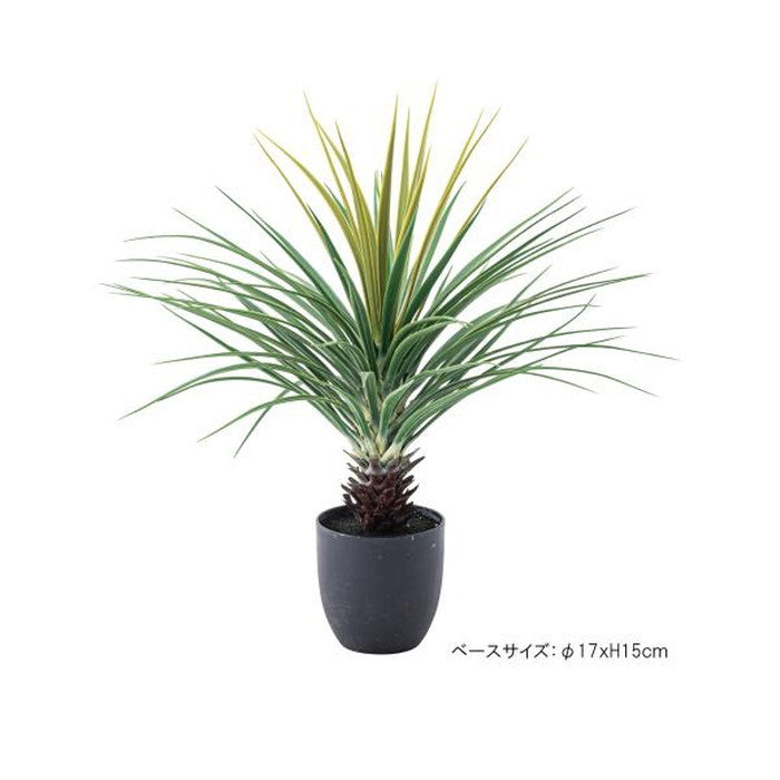 フェイクグリーン 観葉植物 ミニパイナップル グリーン 約W61×D61×H67 フェイクグリーン 観葉植物 人工観葉植物 ミニパイナップル 葉 造花 インテリア 癒し グリーン リーフ おしゃれ ガーデン 室内 飾り azu-grn-12の画像