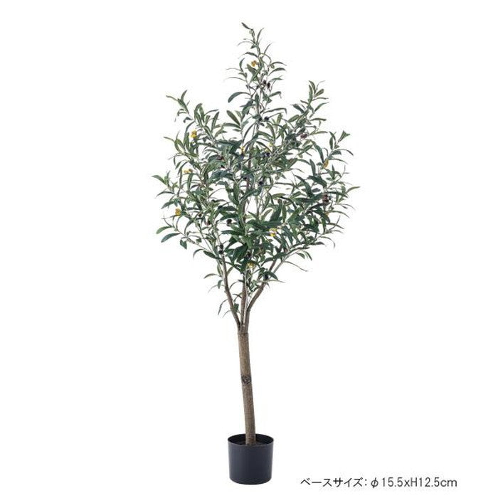フェイクグリーン 観葉植物 オリーブ グリーン 約W44×D44×H152 フェイクグリーン 観葉植物 人工観葉植物 オリーブ 実 葉 造花 インテリア 癒し グリーン リーフ おしゃれ ガーデン 室内 飾り azu-grn-17の画像