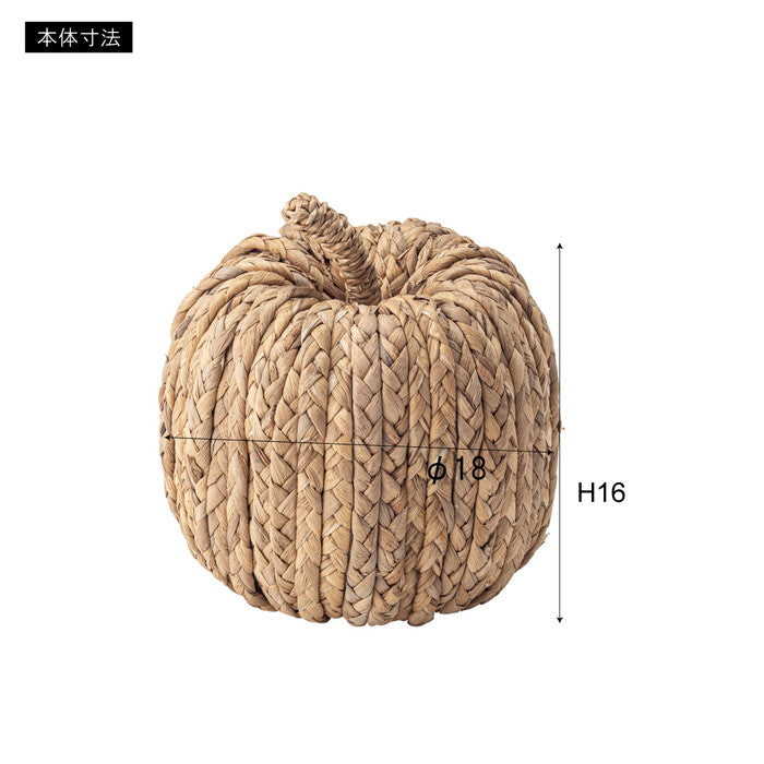 ウォーターヒヤシンス オブジェ W18×D18×H16 azu-sly-610の画像