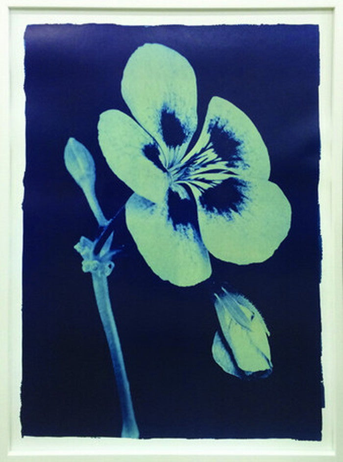 アートフレーム Thomas Hager Open Geranium #2 2002 730x980x30mm ITH-60617 bic-6942515s1の画像