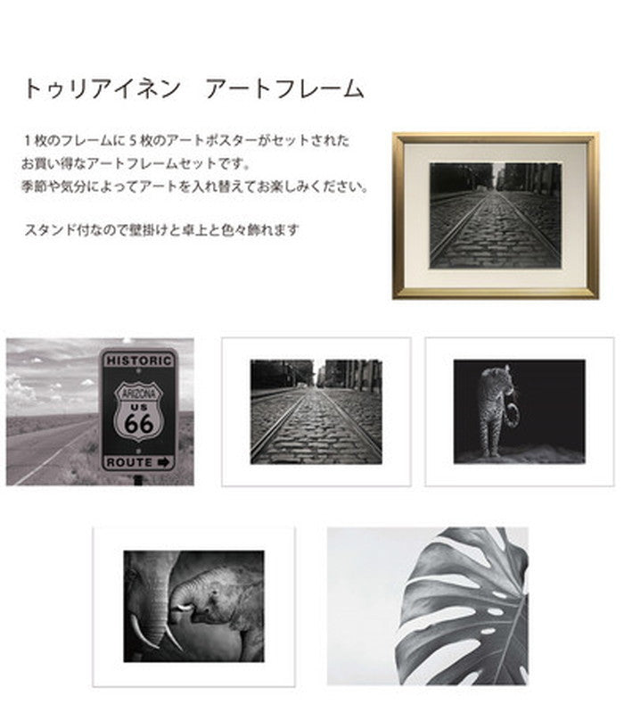 トゥリアイネン アートフレーム Tuliainen Artframe Gold Mサイズ ポスター5枚セット 307x383x25mm ITA-61924 bic-7755088s1の画像