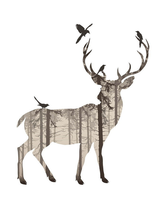 ポスターセット Poster Mysa 500x400mm用 3枚セット PMS-61915 bic-7894524s1の画像