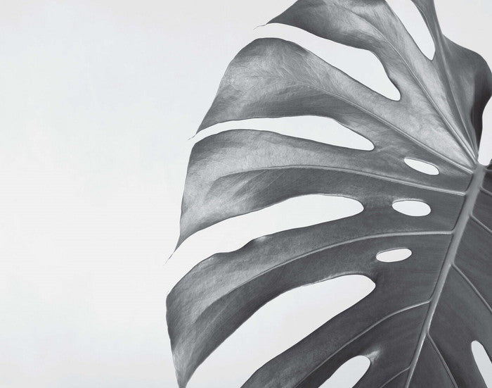 11x14inch ポスターセット Poster Tuliainen 11x14用 5枚セット A PTA-61928 bic-7894527s1の画像