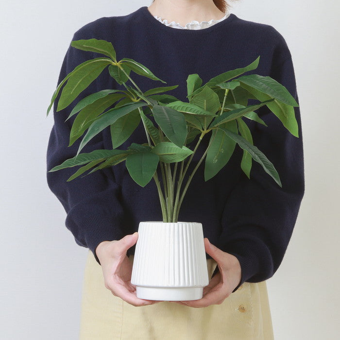 フェイクグリーン パキラ セラミックポット グリーン 幅440×奥行400×高さ430mm fj-41128の画像