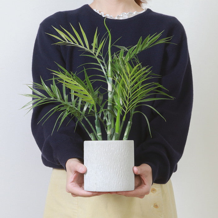 フェイクグリーン テーブルヤシ ペーパーポット グリーン 幅320×奥行350×高さ420mm fj-41130の画像