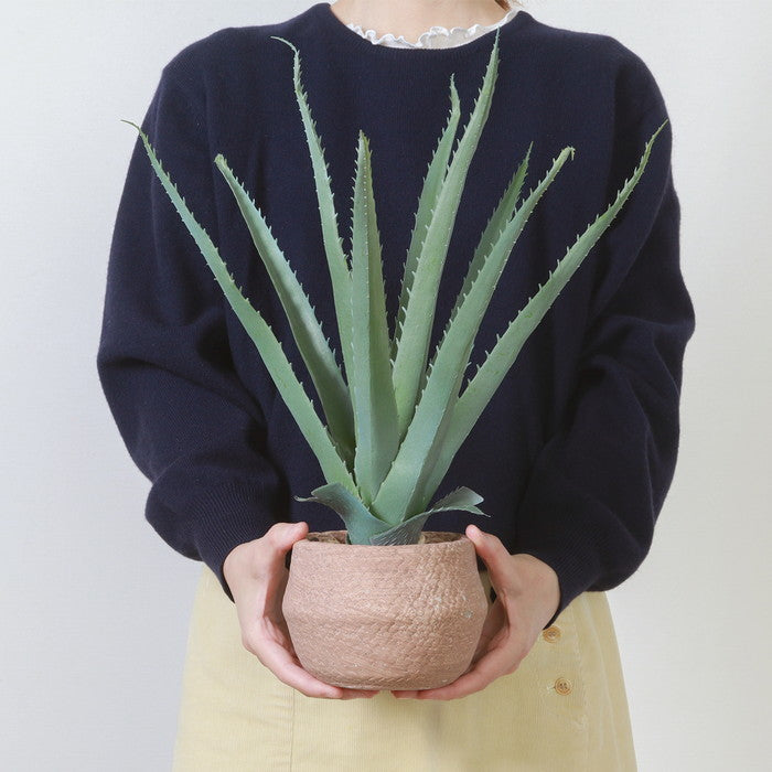 フェイクグリーン アロエ S セメントポット グリーン 幅400×奥行400×高さ450mm fj-41134の画像