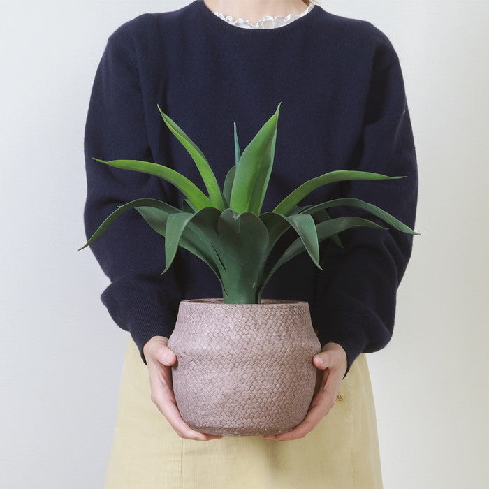 フェイクグリーン アガベ セメントポット グリーン 幅400×奥行400×高さ400mm fj-41135の画像