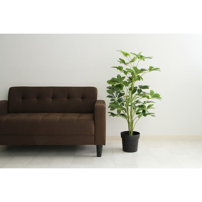 ヤドリフカノキ 216 17281 fj-52693の画像