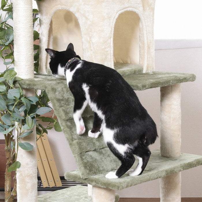 ねこの休ら木 レオ ZJS-165974-2GR グリーン 幅650×奥行590×高さ1495mm fj-58204の画像