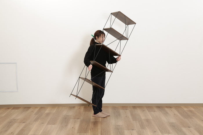 EZBO ワイヤーラック 6段 40幅 MBR ミドルブラウン 420×310×1700 fj-77546の画像