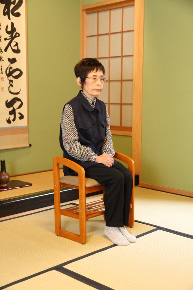 サポートチェアー fj-95778の画像