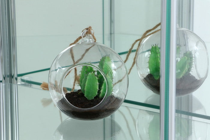 【大型配送】ガラスコレクションケース コーナー タイプ (背面ミラー付) ブラウン 720×520×1620 fj-98846の画像