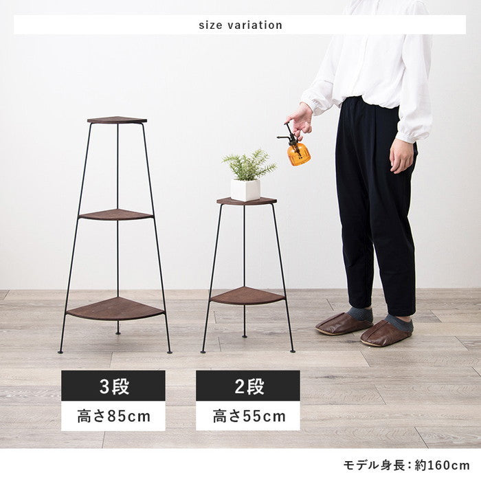 ラック KR-3846 幅25.5×奥行25.5×高さ55cm hgs-2101869500の画像