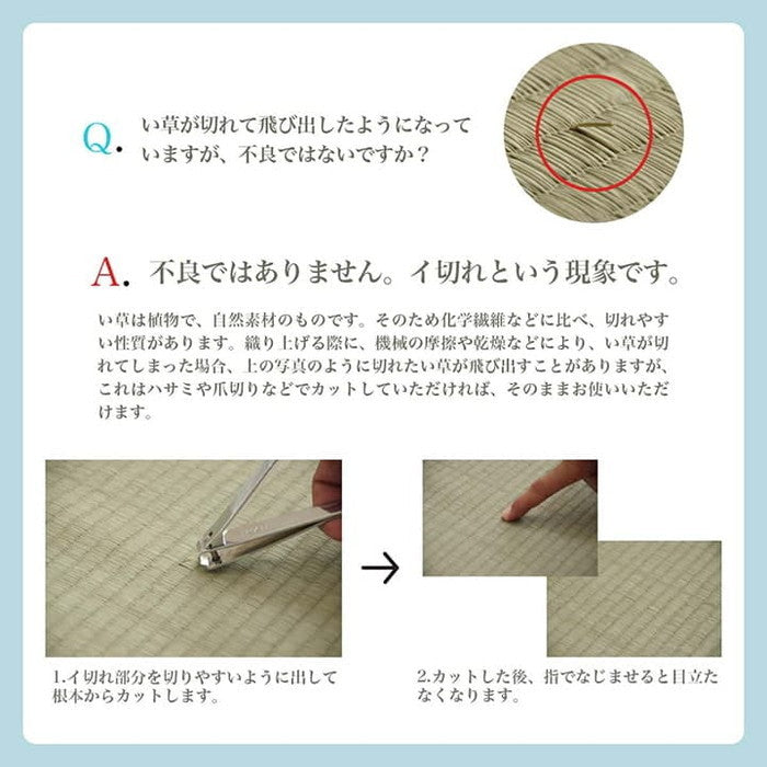 い草ラグ 花ござ カーペット 格子柄 ナチュラル シンプル 和室 抗菌防臭 消臭 お手入れ簡単 夏快適さらさら 本間8畳 約382×382cm レイクブルー ブラウン ihk-1031280041402の画像