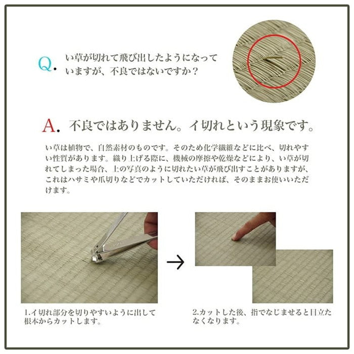 ラグ 正方形 い草 自然素材 シンプル ボーダー 裏面すべり止め付き 滑りにくい 抗菌防臭 約4.5畳 約240×240cm ブルー グリーン グレー ihk-1070010045411の画像