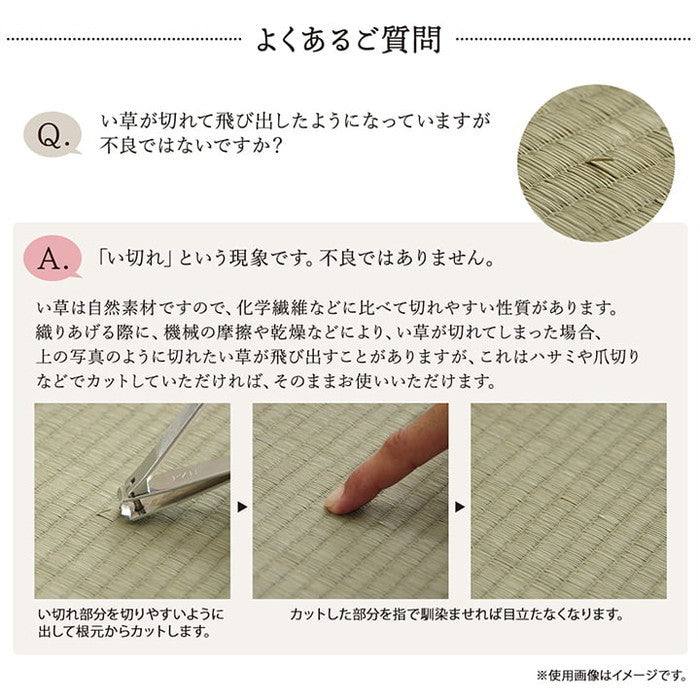 敷物 花ござ 国産 純国産 日本製 い草 掛川織 モダン 抗菌防臭 自然素材 江戸間2畳 約174×174cm 海 草原 ihk-1080330040202の画像