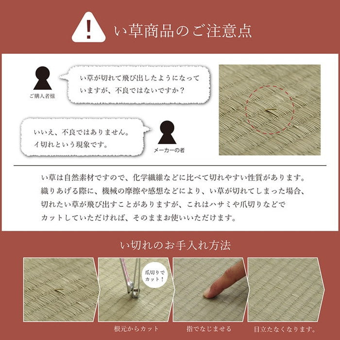 い草 い草マット 国産 マット ごろ寝マット フリーマット 和風柄 約70×180cm 中:固わた20mm グリーン オレンジ ihk-1120270123801の画像