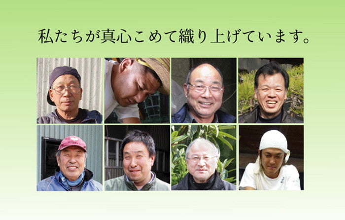 純国産 い草のシーツ 寝ござ 清風 シングル 約88×180cm ブルー ihk-1122030040725の画像