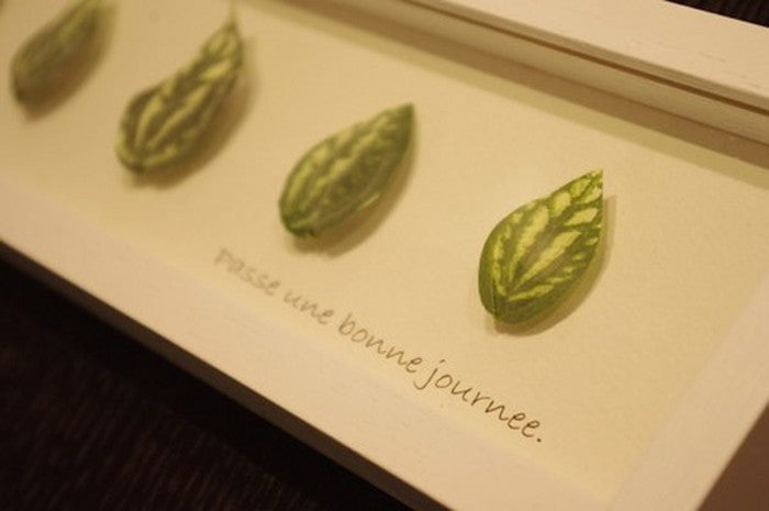 ナチュラル アンド フレンチ インテリアアート プチフルール デイジー ホワイト ホワイト PZ-1010 店舗 カフェ ラウンジ ロビー ホテル 法人 kar-2781672s1の画像