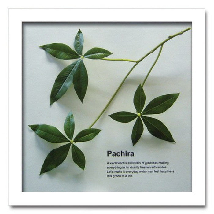 インテリアグリーンアート ForestDeco Pachira ホワイト FD-3004 店舗 カフェ ラウンジ ロビー ホテル 法人 kar-3060944s4の画像