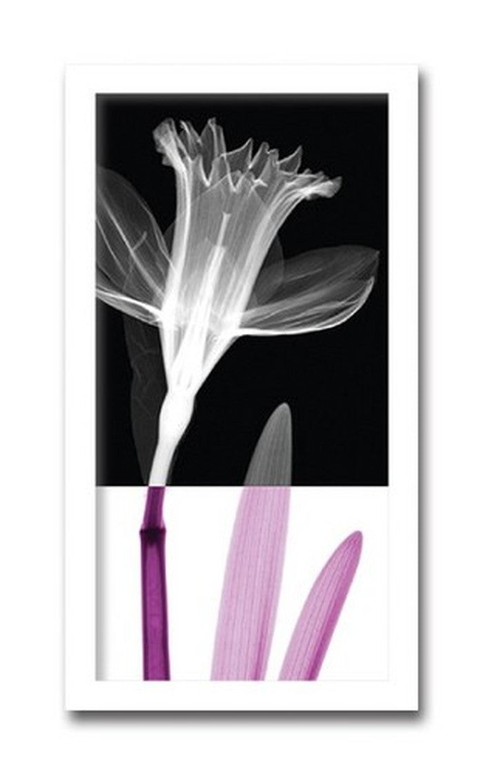 インテリアアート Steven N Meyers Stem I ヒモ付 AS-11426 店舗 カフェ ラウンジ ロビー ホテル 法人 kar-3097171s1の画像