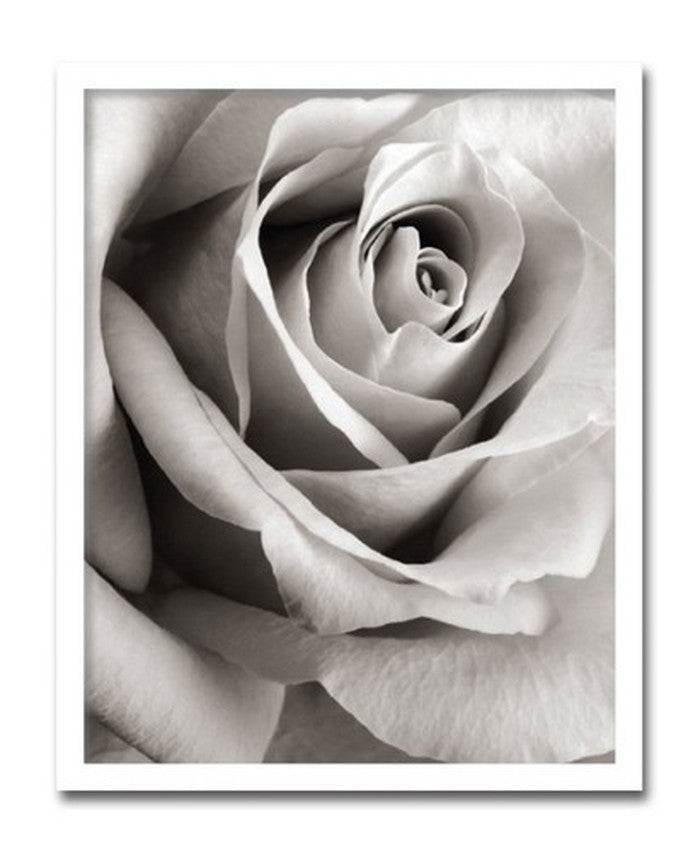 インテリアアート Steven N Meyers Rose ヒモ付 AS-11405 店舗 カフェ ラウンジ ロビー ホテル 法人 kar-3097180s1の画像