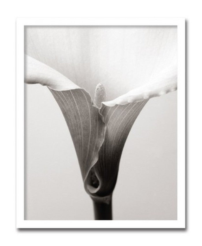インテリアアート Steven N Meyers Calla ヒモ付 AS-11406 店舗 カフェ ラウンジ ロビー ホテル 法人 kar-3097181s1の画像
