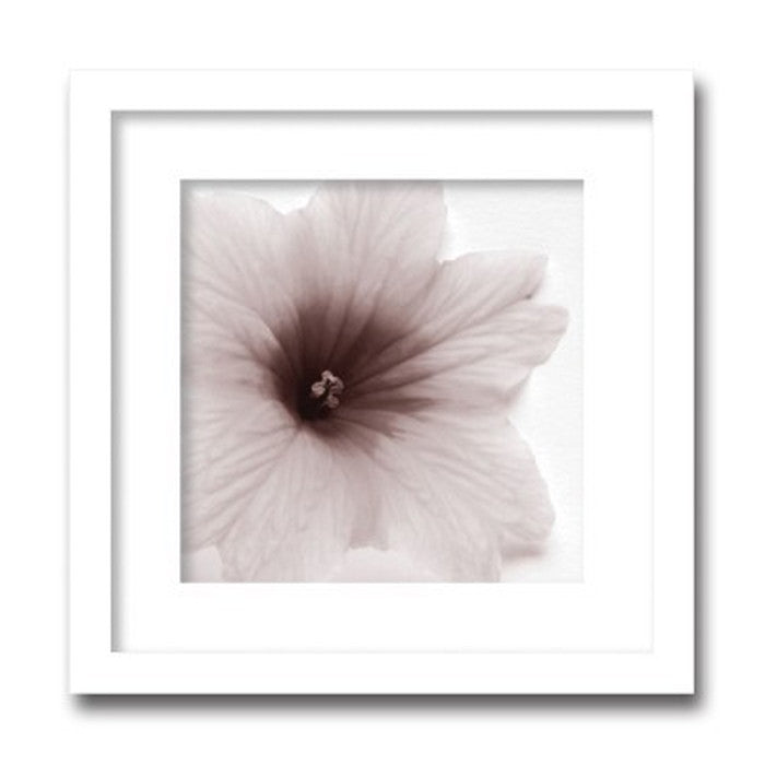 インテリアアート Jk driggs Blossom Three ヒモ付 AS-11348 店舗 カフェ ラウンジ ロビー ホテル 法人 kar-3097186s1の画像