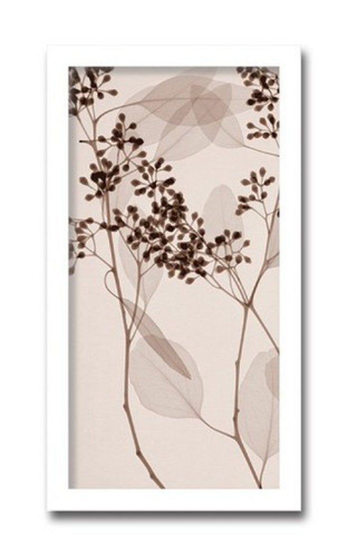 インテリアアート Steven N Meyers Eucalyptus II ヒモ付 AS-11424 店舗 カフェ ラウンジ ロビー ホテル 法人 kar-3097191s1の画像