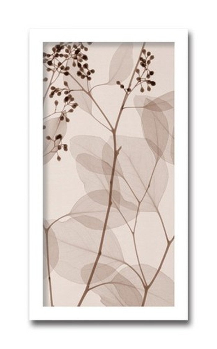 インテリアアート Steven N Meyers Eucalyptus III ヒモ付 AS-11425 店舗 カフェ ラウンジ ロビー ホテル 法人 kar-3097192s1の画像