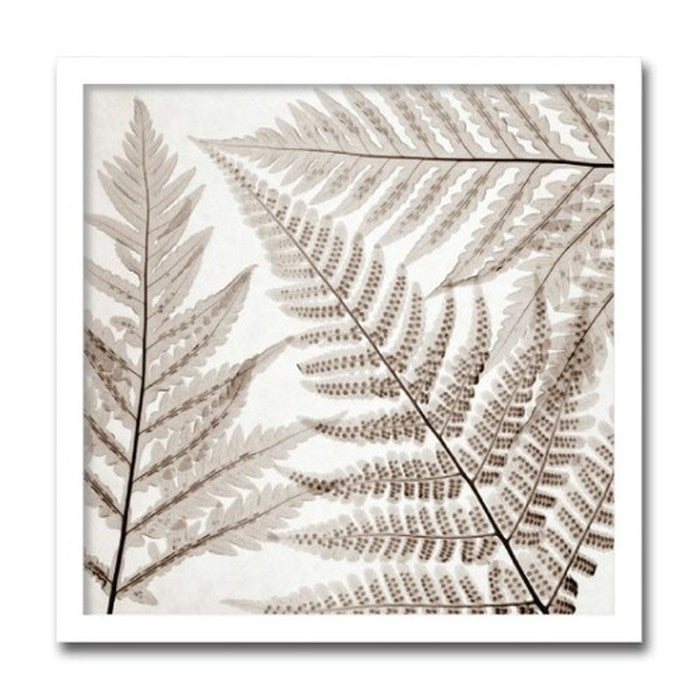 インテリアアート Steven N Meyers Ferns III ヒモ付 AS-11404 店舗 カフェ ラウンジ ロビー ホテル 法人 kar-3097198s1の画像