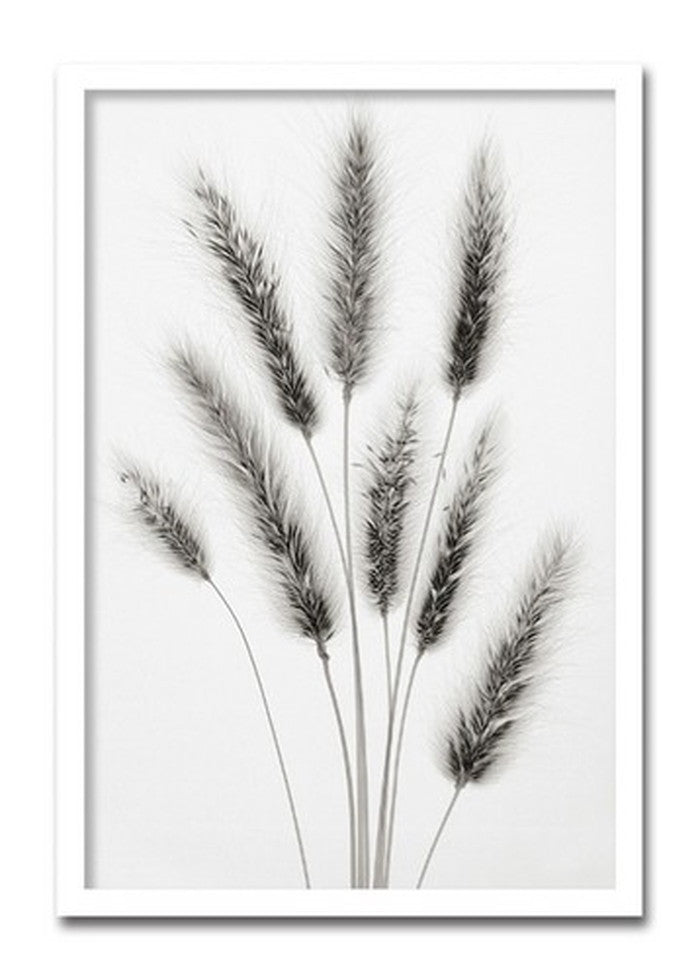 インテリアアート Steven N Meyers Hare's Tail ヒモ付 AS-11430 店舗 カフェ ラウンジ ロビー ホテル 法人 kar-3097199s1の画像