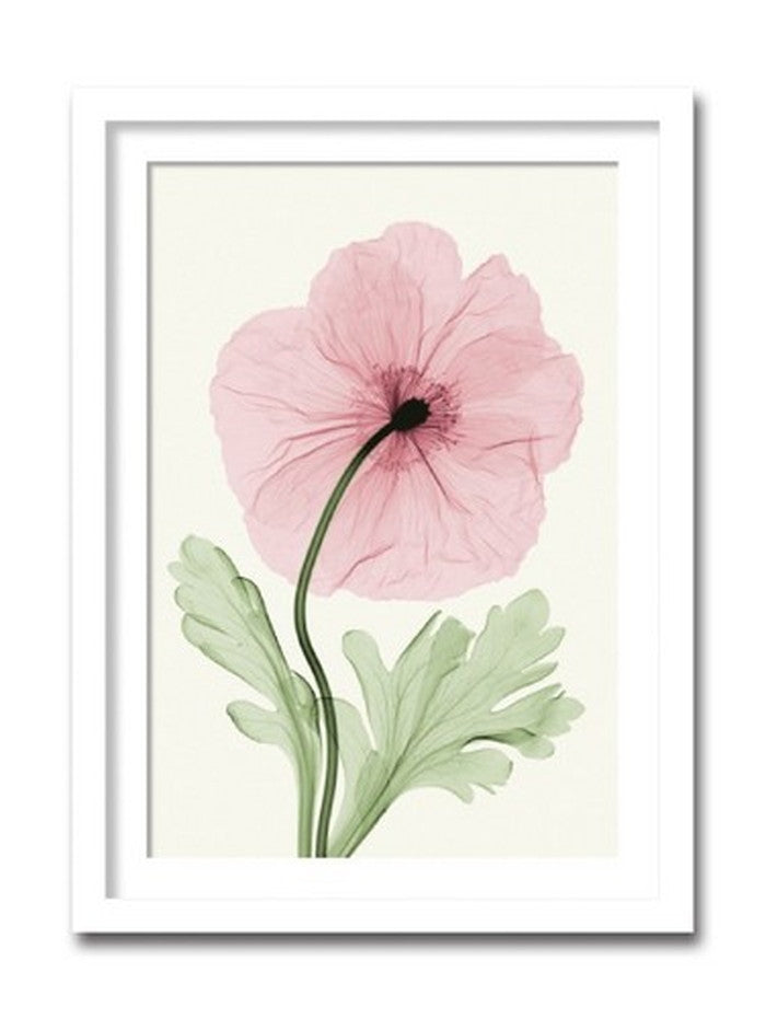 インテリアアート Steven N Meyers Iceland Poppy I ヒモ付 AS-11407 店舗 カフェ ラウンジ ロビー ホテル 法人 kar-3097210s1の画像