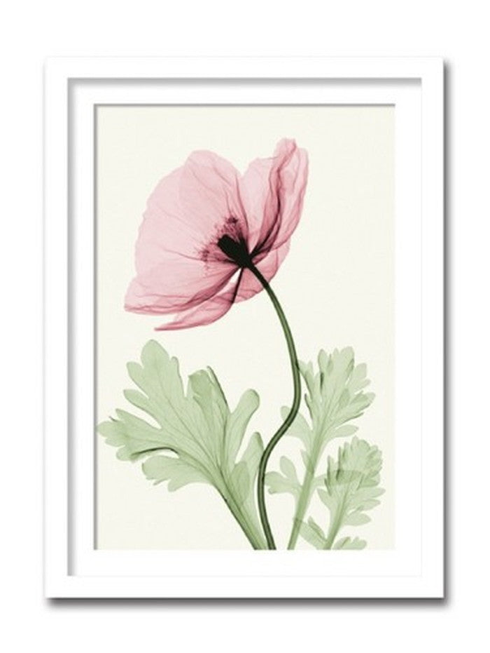 インテリアアート Steven N Meyers Iceland Poppy II ヒモ付 AS-11408 店舗 カフェ ラウンジ ロビー ホテル 法人 kar-3097211s1の画像