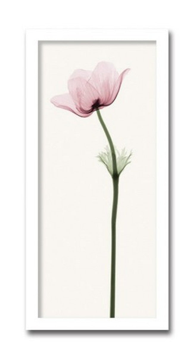 インテリアアート Steven N Meyers Anemone II ヒモ付 AS-11410 店舗 カフェ ラウンジ ロビー ホテル 法人 kar-3097213s1の画像