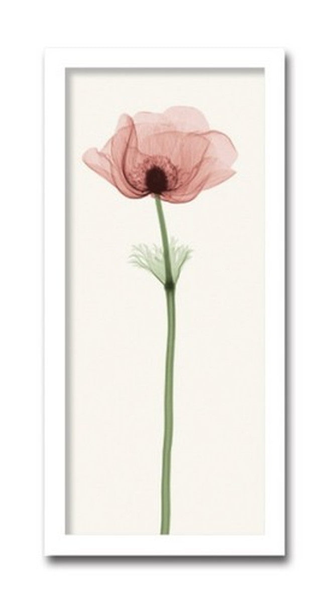 インテリアアート Steven N Meyers Anemone IV ヒモ付 AS-11412 店舗 カフェ ラウンジ ロビー ホテル 法人 kar-3097215s1の画像