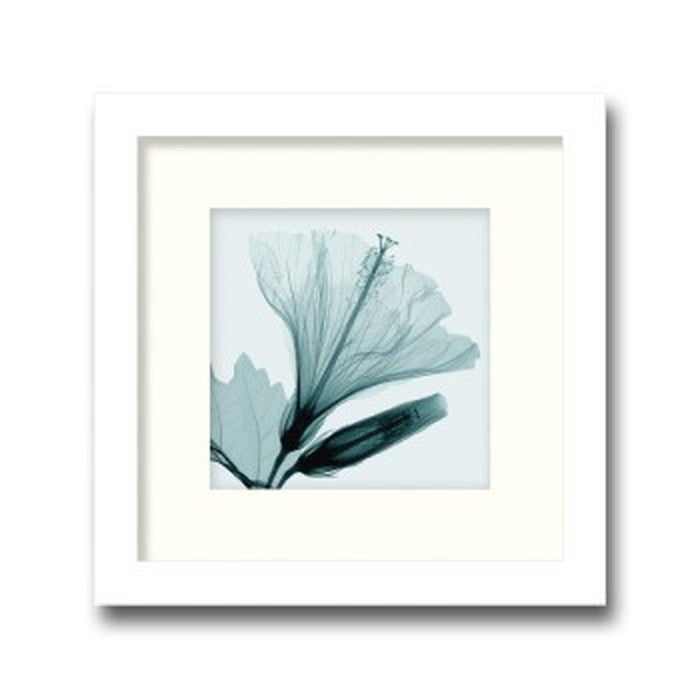 インテリアアート Steven N Meyers Hibiscus & Bud small ヒモ付 AS-11366 店舗 カフェ ラウンジ ロビー ホテル 法人 kar-3097220s1の画像