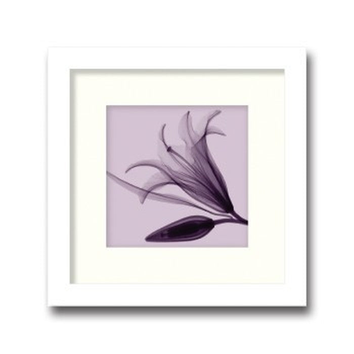 インテリアアート Steven N Meyers Lily & Bud small ヒモ付 AS-11367 店舗 カフェ ラウンジ ロビー ホテル 法人 kar-3097221s1の画像