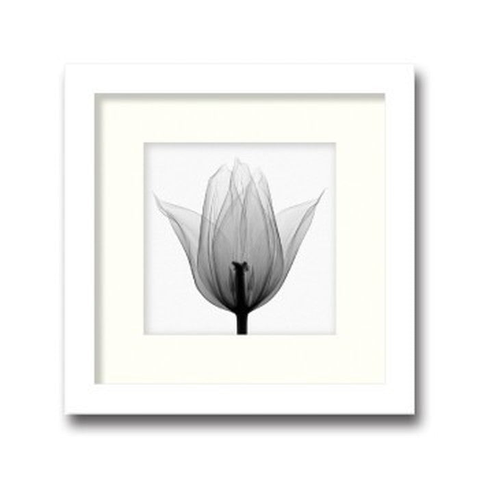 インテリアアート Steven N Meyers Triumph Tuilp ヒモ付 AS-11377 店舗 カフェ ラウンジ ロビー ホテル 法人 kar-3097225s1の画像
