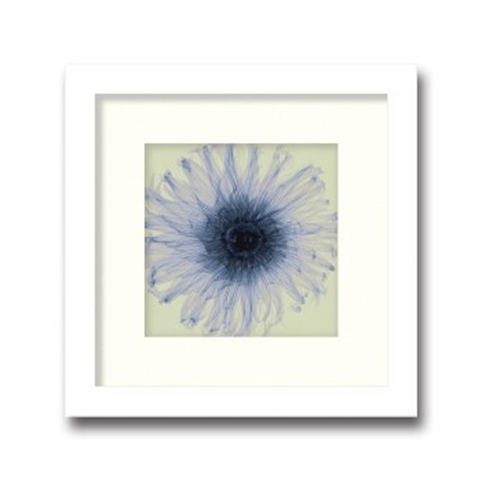 インテリアアート Steven N Meyers Dahlia small ヒモ付 AS-11379 店舗 カフェ ラウンジ ロビー ホテル 法人 kar-3097227s1の画像