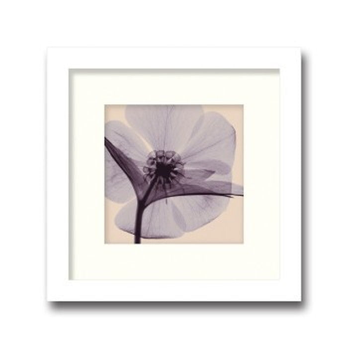 インテリアアート Steven N Meyers Hellebore small ヒモ付 AS-11380 店舗 カフェ ラウンジ ロビー ホテル 法人 kar-3097228s1の画像