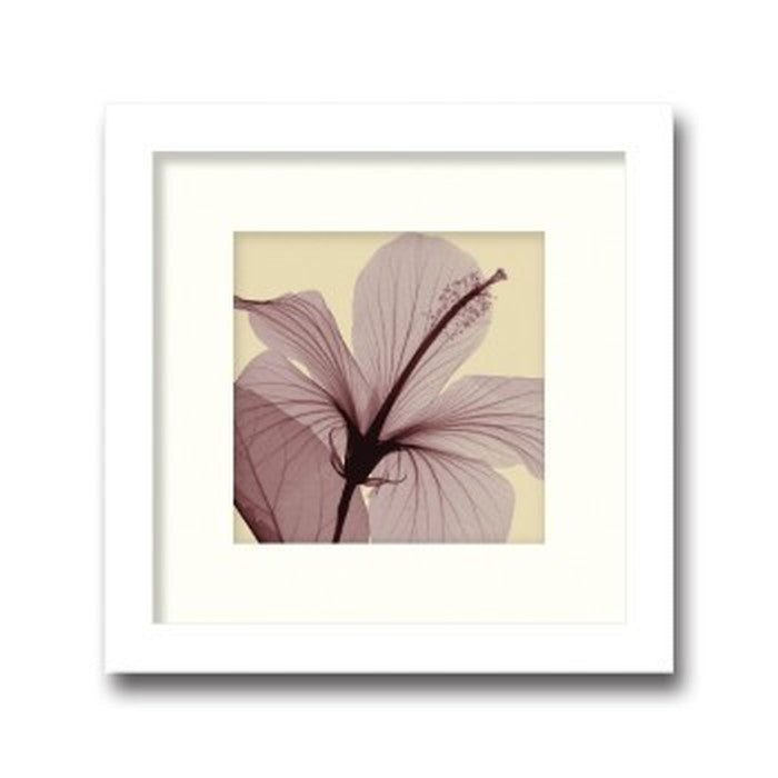 インテリアアート Steven N Meyers Hibiscus small ヒモ付 AS-11381 店舗 カフェ ラウンジ ロビー ホテル 法人 kar-3097229s1の画像