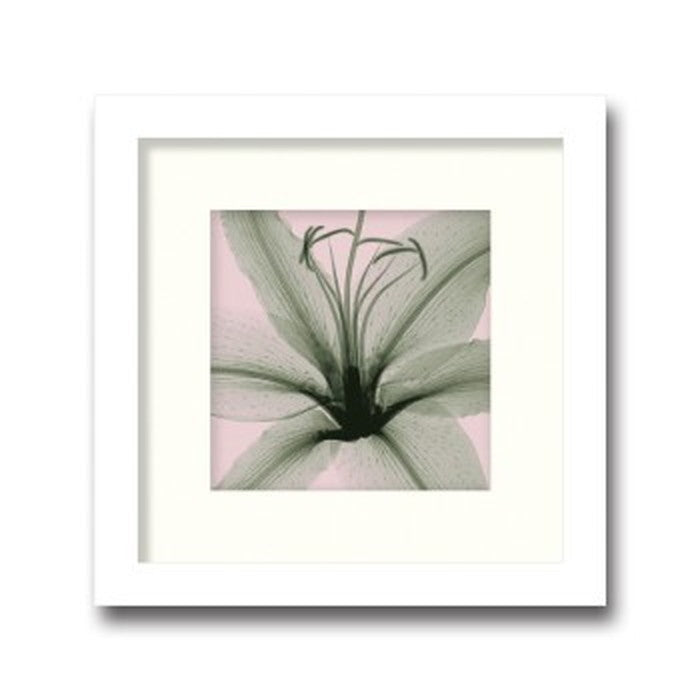 インテリアアート Steven N Meyers Lily small ヒモ付 AS-11382 店舗 カフェ ラウンジ ロビー ホテル 法人 kar-3097230s1の画像