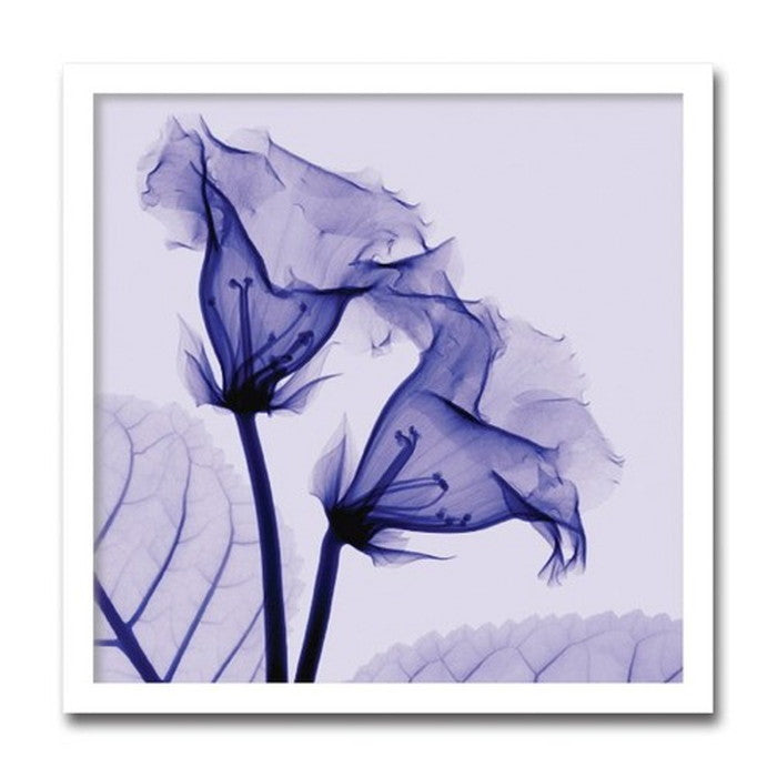 インテリアアート Steven N Meyers Gloxinia ヒモ付 AS-11391 店舗 カフェ ラウンジ ロビー ホテル 法人 kar-3097232s1の画像