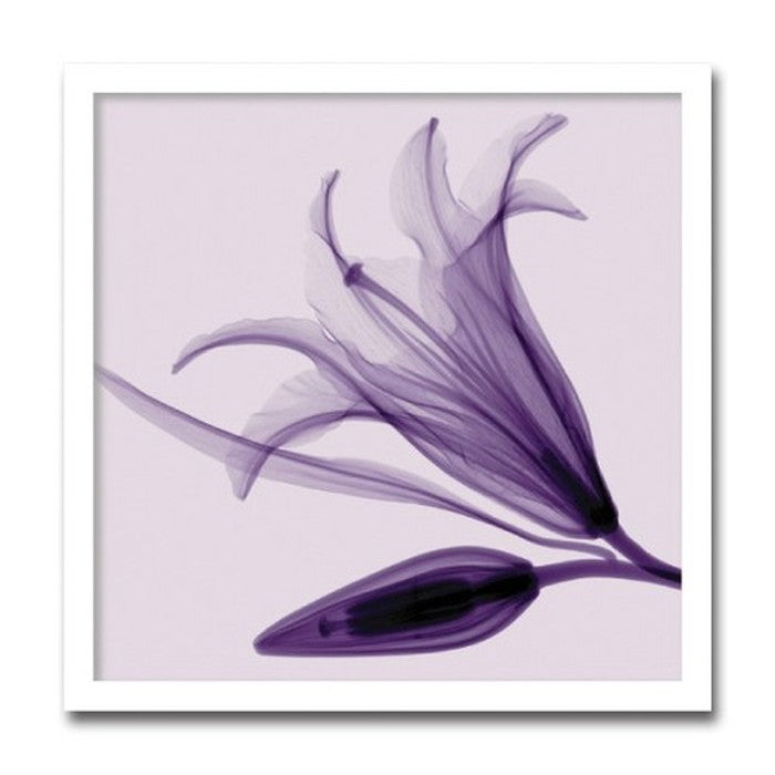 インテリアアート Steven N Meyers Lily & Bud ヒモ付 AS-11393 店舗 カフェ ラウンジ ロビー ホテル 法人 kar-3097234s1の画像