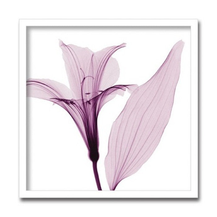 インテリアアート Steven N Meyers Alstromeria III ヒモ付 AS-11433 店舗 カフェ ラウンジ ロビー ホテル 法人 kar-3097235s1の画像