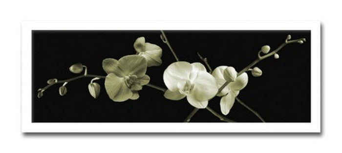 インテリアアート Jk driggs Orchid Sprays ヒモ付 AS-11344 店舗 カフェ ラウンジ ロビー ホテル 法人 kar-3097238s1の画像