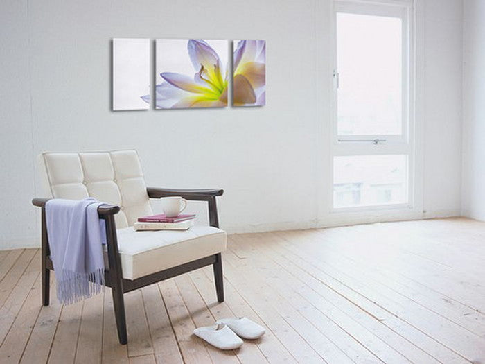 CANVAS ART キャンバスアート lily ユリ Lサイズ W1000×H500 3枚組 US-2012 店舗 カフェ ラウンジ ロビー ホテル 法人 kar-4999362s2の画像