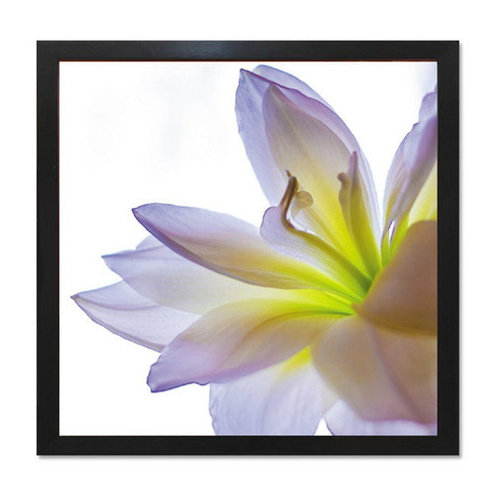 インテリアアート RAKUDECO ラクデコシリーズ Lily ブラック RD-1001 店舗 カフェ ラウンジ ロビー ホテル 法人 kar-5620947s2の画像