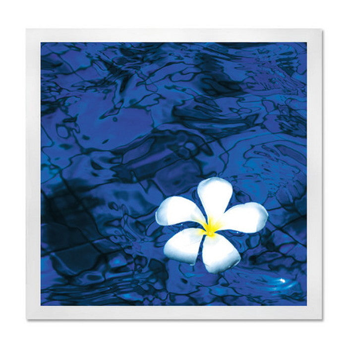 インテリアアート RAKUDECO ラクデコシリーズ Frangipani ホワイト RD-1002 店舗 カフェ ラウンジ ロビー ホテル 法人 kar-5620948s1の画像